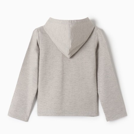 Sweatshirt for boys, gray color, height 98 cm-3