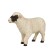 Figure Konik "Scottish black -headed sheep"