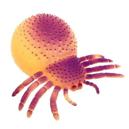 Magic "Sea animal" with paste, color mix-1
