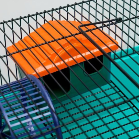 The cage for rodents "Pigzon" No. 4, with a floor, equipped, 37x26x18 cm, turquoise-6
