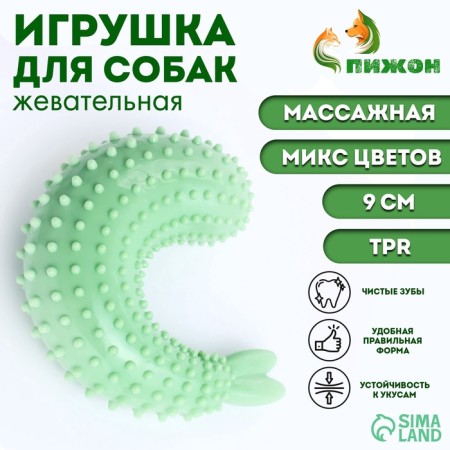 Massage toy for dogs "Shrimp" 9 cm, TPR, mix of flowers