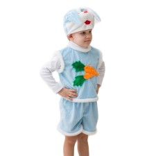 Carnival costume 