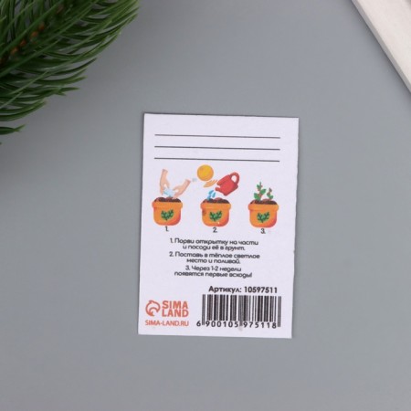 A postcard with the seeds "grow itself" "wealth and success" snake 5*7cm-2