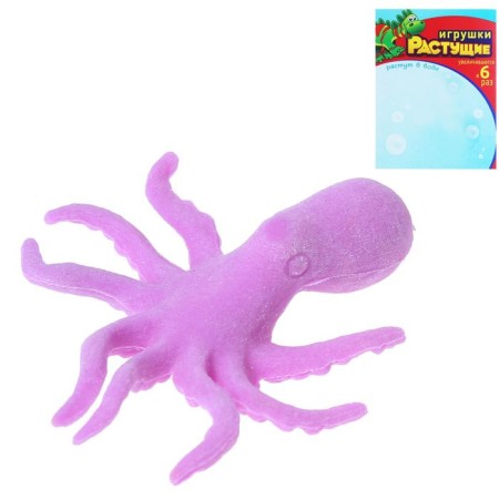 Children's experience “growing animal. Sea animals ", mix-4