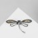 Brooch "Dragonfly" shell, colored in black silver