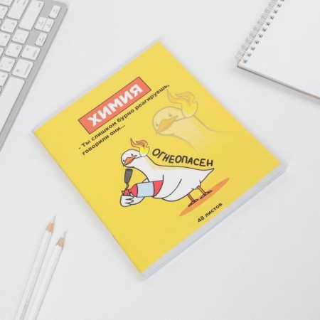 Substance notebook 48 sheets, A5, characters, with reference materials “September 1: Chemistry”, cover coated cardboard 230 gr., Inner block in a cage 80 gr., White is 96%-1