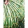 Malachite plaid, size 200x220 cm, rhombuses, green