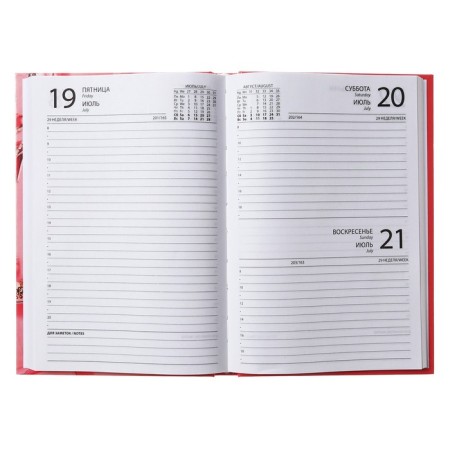 Diary is semi -dushed on a stitch, A5 160 sheets, cardboard 7BC, attributes of our time, glossy lamination-4