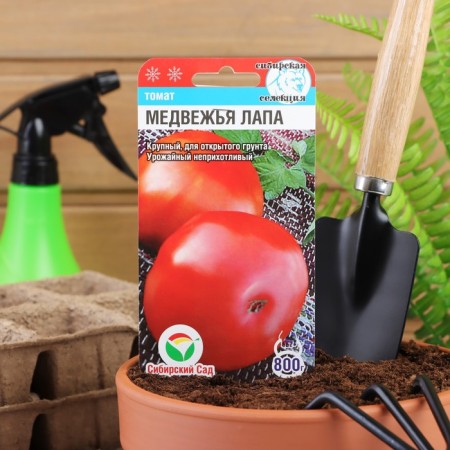 Seeds Tomat "Bear Lap", Middle Erand, 20 pcs-2