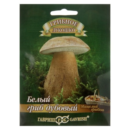 Seeds of mycelium "White Mushroom", oak on a grain substrate, 15 ml