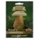 Seeds of mycelium "White Mushroom", oak on a grain substrate, 15 ml