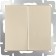 Two-clavy switch WL11-SW-2G, champagne color