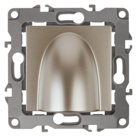 Cable output, era12, champagne