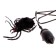 Jumping animals “feel like a superhero”, spider, in a package