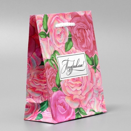 Gift Package Laminated, packaging, “Congratulations”, S 12 x 15 x 5.5 cm-3