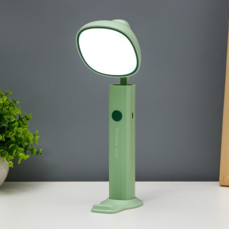 Fonter's table lamp LED 3000K-6000K 5W USB AKB MIX 10x8x20-26cm Risalux-2