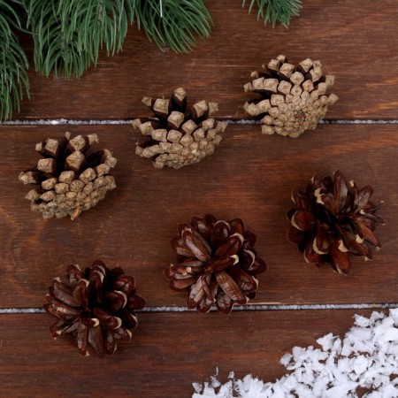 New Year's decor "Set of natural cones" 6 pcs.-1
