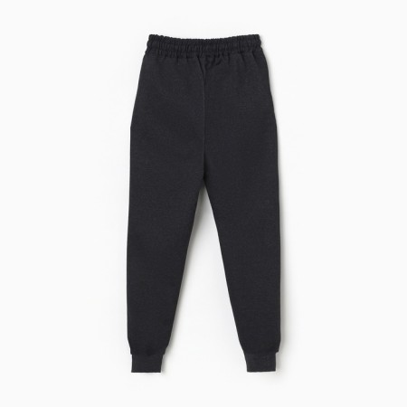 Female sports trousers, gray color, rn 50-3