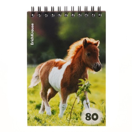 Notebook on spirals A6, 80 sheets, cage, Erichkrause "Fluffs", cardboard cover, OFSET unit, whiteness 100%, mix-4