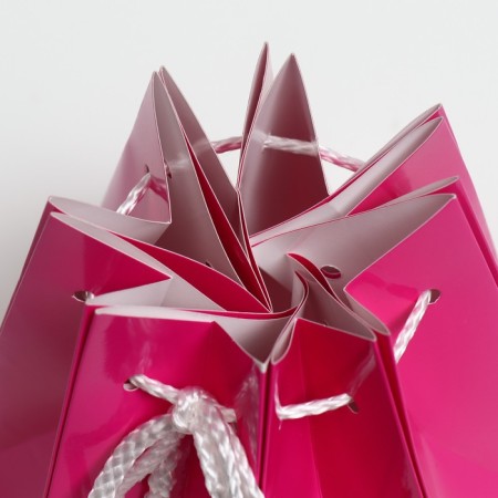 Aquabox, Pink, 16 x 16 cm-2