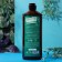 Hair shampoo with nettle extract, 500 ml, beauty pantry