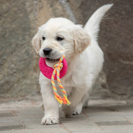 Chewing toy with a rope "Girya", pink-4