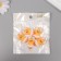Decor for creativity plastic "Diplon in a skirt" set of 5 sh 3.1x2.5x1 cm