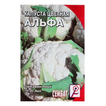 Cauline Cabbage Seeds "Alpha", 0.3 g
