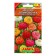 Cinnia flowers "Thumbelina", a mixture of colors, o, 0.3 g