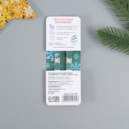 Growing gift pencils mini "blue spruce + pine" set 2 pcs.-6