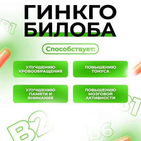 Гинкго Билоба Ангио, 60 капсул по 500 мг-3