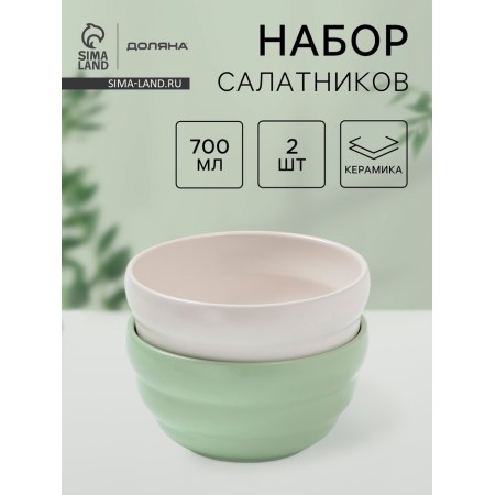 Saladniki of the “Zephyr” shade, 700 ml, D = 15.5 cm, set 2 pcs, ceramics, white, green