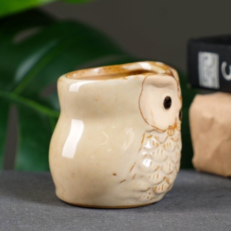 Pot "Owl Ava" 6x6x6.5cm, mix-7