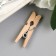 Decor for creativity tree "clothespin" (set 40 pcs) 2.5x0.8 cm