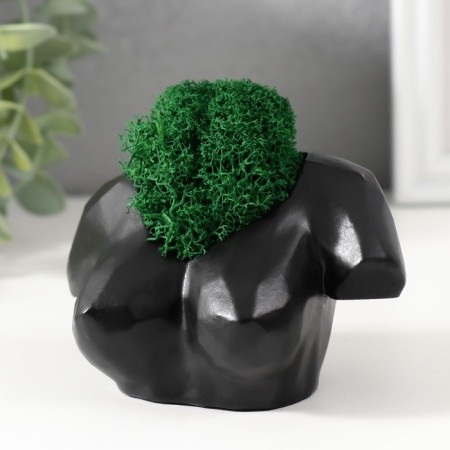 Kashpo concrete "Bust" with moss 6.5x11cm black (moss green stabilized)-3