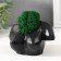 Kashpo concrete "Bust" with moss 6.5x11cm black (moss green stabilized)