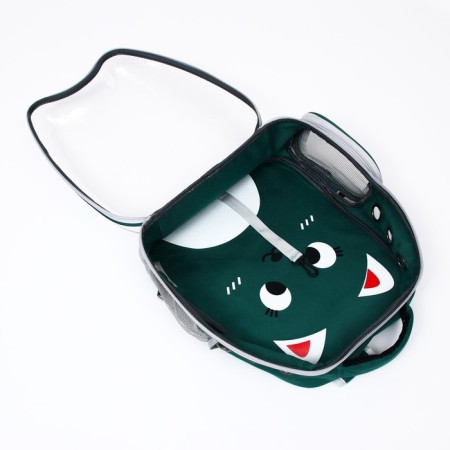 A backpack for carrying animals "cat", transparent, 34 x 25 x 40 cm, green-6
