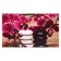 Picture on the canvas "Exotic Orchid" 60x100 cm