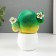 Growing gift Eco -Zhizhivchik "Cactus in a pot" mix