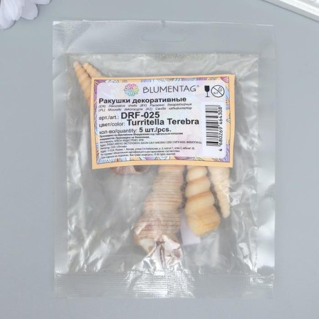 Decorative shells "Turritella Terebra" 5 pcs-2