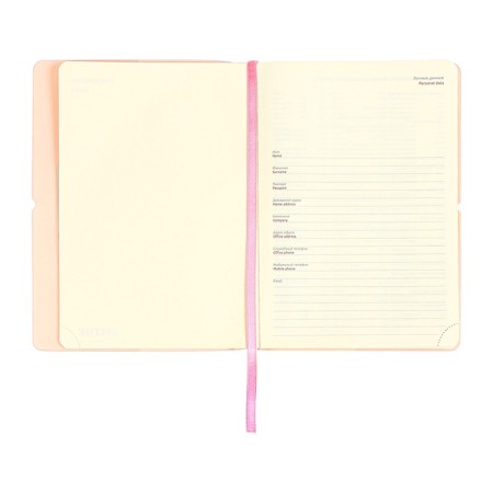 Diary of Leduced A5 136 DEVENTE sheets. Jane, soft pvc cover, elastic band, perforation, liesse, block 70, pink-8