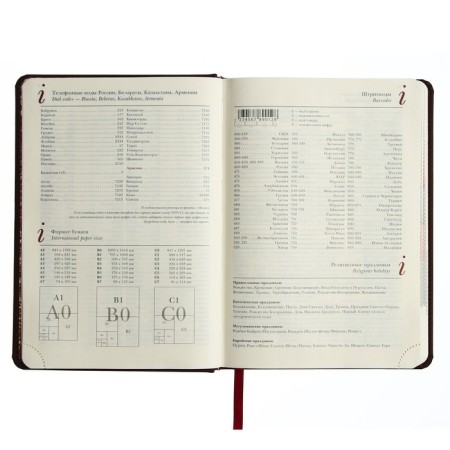 Leduced A5 Diary, 136 Velvet Index sheets, hard cover, artificial leather, lamination Soft Touch, lies, tinted block 70 g/m2, brown-6