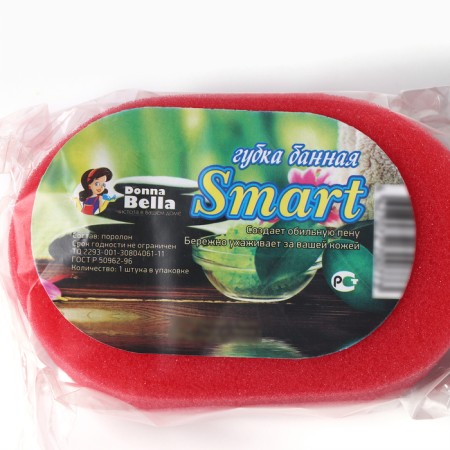 Body sponge "Smart", 12.5 × 8 × 5 cm, mix-7