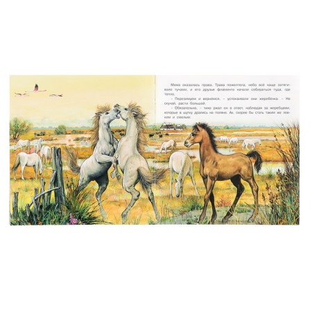 “We know the world around us. Adventures of the foal ", 16 p.-2