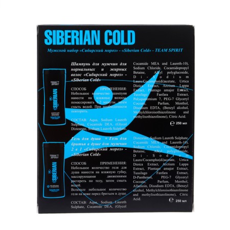 Gift set of male Team Spirit: shampoo, 250 ml + shower gel, 250 ml-4