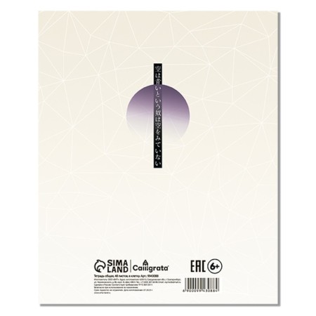 Notebook of 48 sheets in the cage "Anime. Boy and sky", covered cardboard, matte lamination, selective UV-polish, internal block design, offset-17