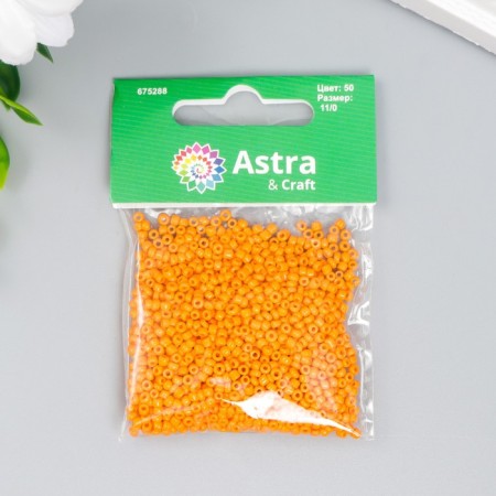 Бисер "Астра" 11/0, 20г (50)-2