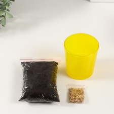 Set for growing plants 