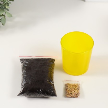 Set for growing plants "grow grass" yellow