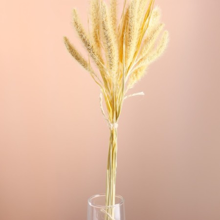 Set of dried flowers "Setaria", banch 7 pcs, length 60-65 (+/- 6 cm), bleached-1